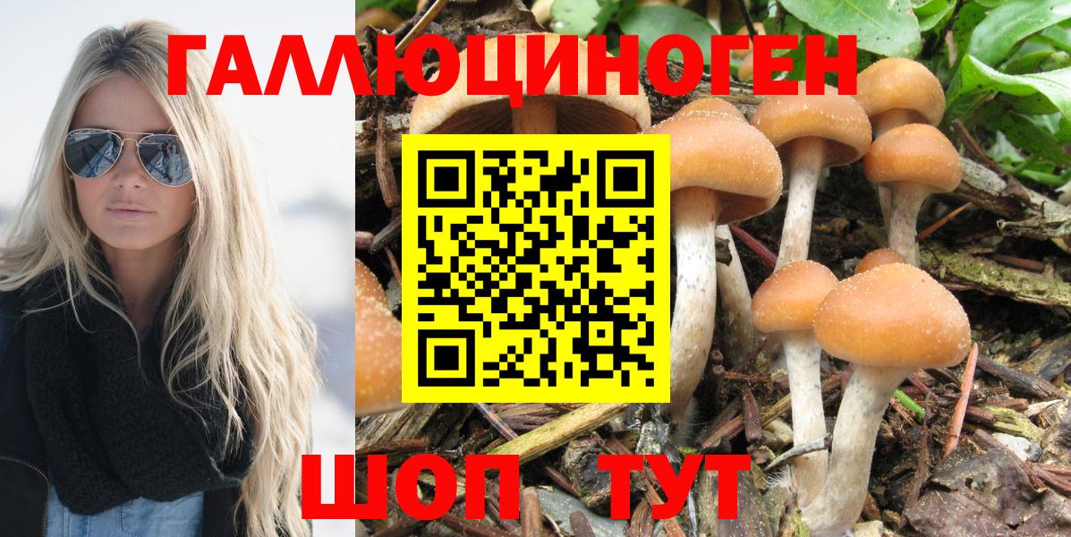 Псилоцибиновые грибы ЛСД  Вход с VPN  Карачаевск 